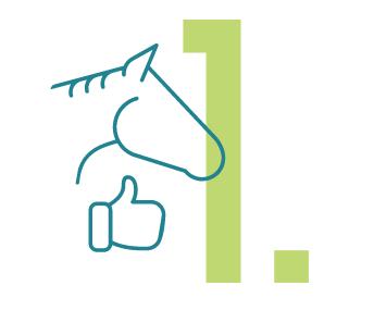 Ein Icon mit einem Pferd und der Daumen-Hoch-Geste mit einer grünen Eins als Zahl.